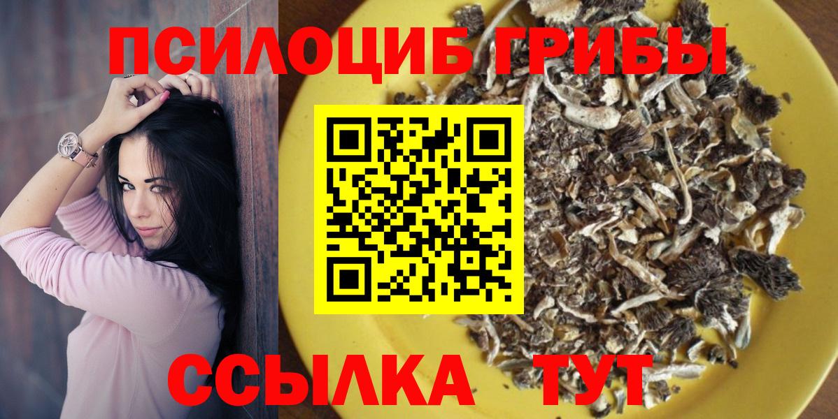 Псилоцибиновые грибы Psilocybe Аргун