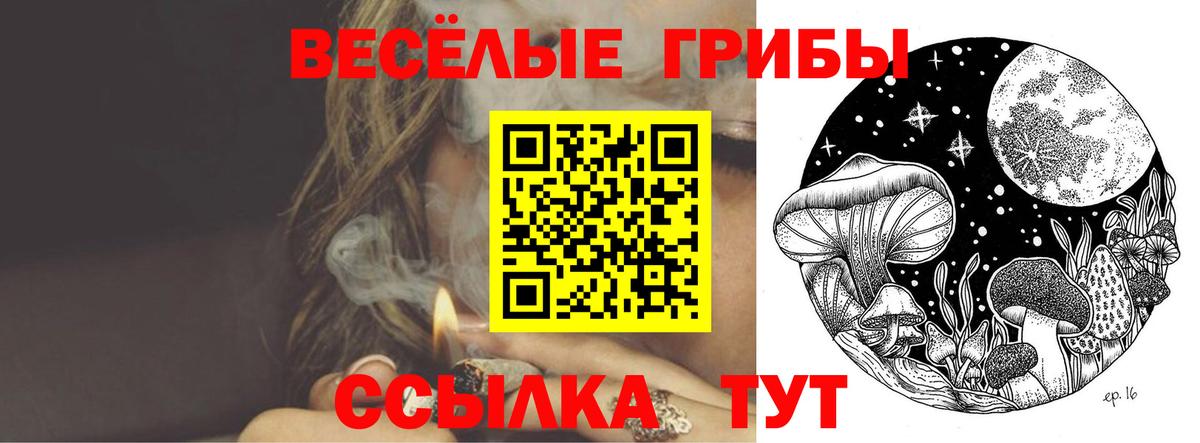 Псилоцибиновые грибы прущие грибы  Вход с VPN  Аргун  Псилоцибиновые грибы мухоморы 